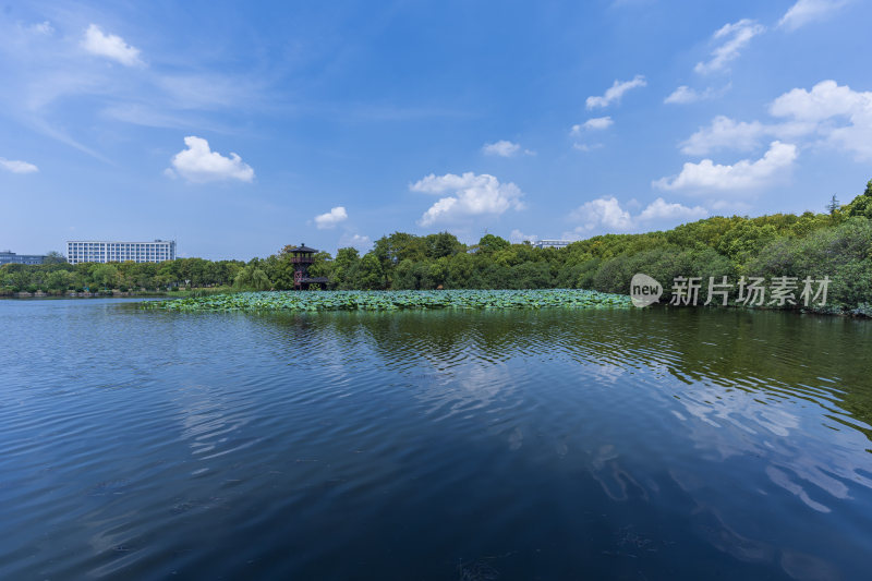 武汉蔡甸汤湖公园生态园林风景