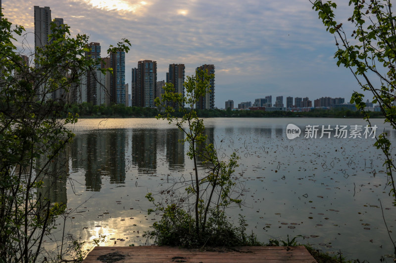 武汉汤逊湖壹号湿地公园