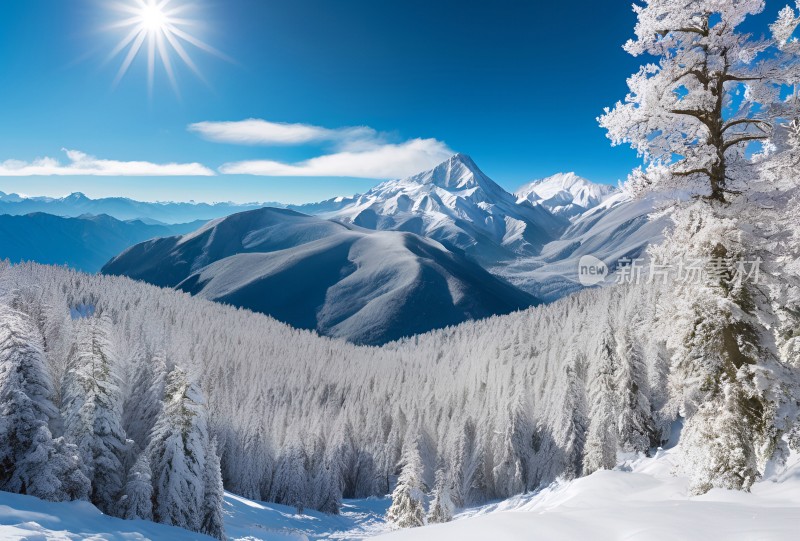 雪山高原草原森林风景