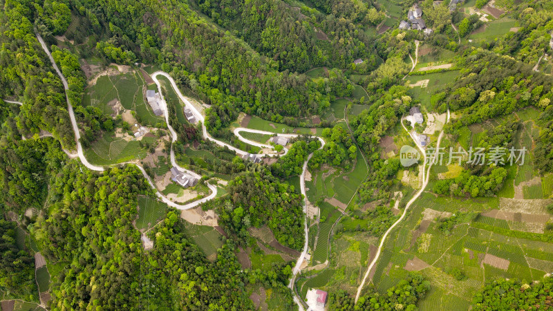 美丽大山山峰农村农业农民茶园