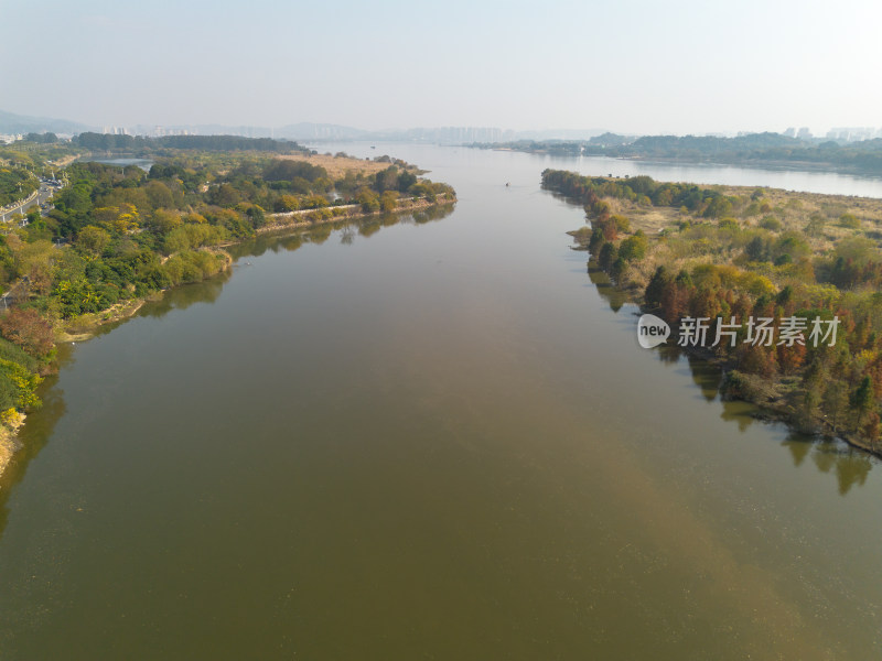 福州多彩树林沿水域分布的自然风景航拍