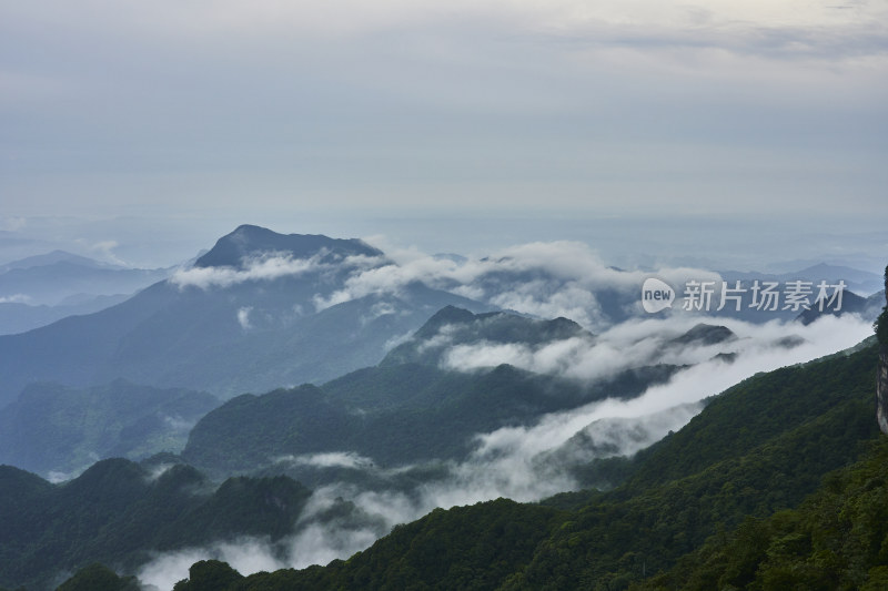 云雾缭绕的金佛山