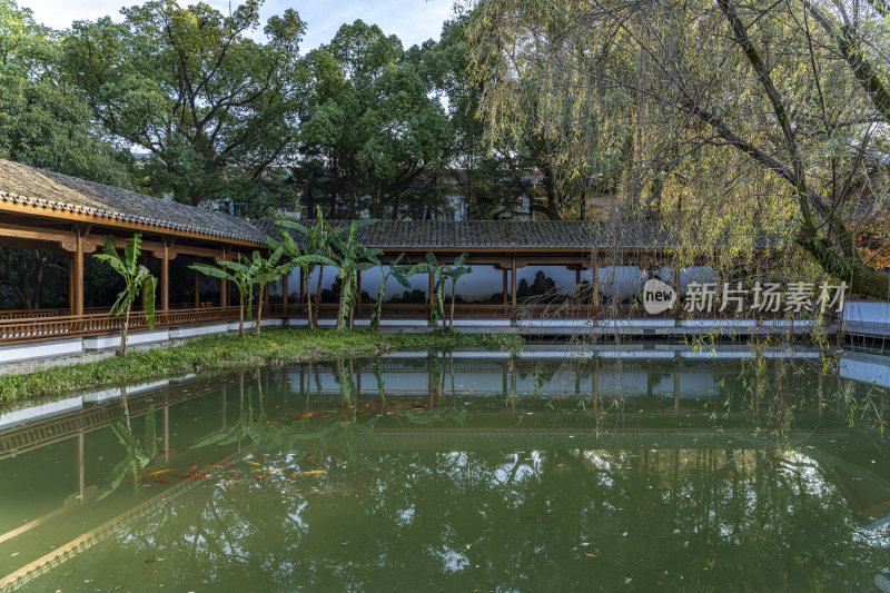 杭州西子湖畔杭州花圃风景