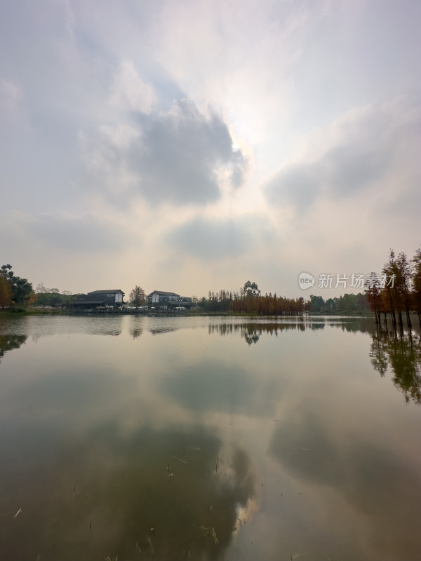 天空下湖边的风景