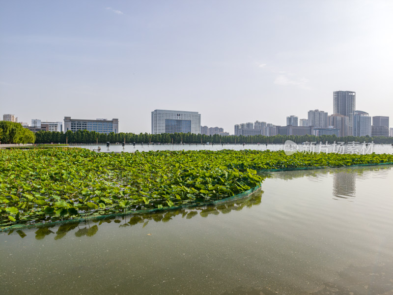 洛阳开元湖景观