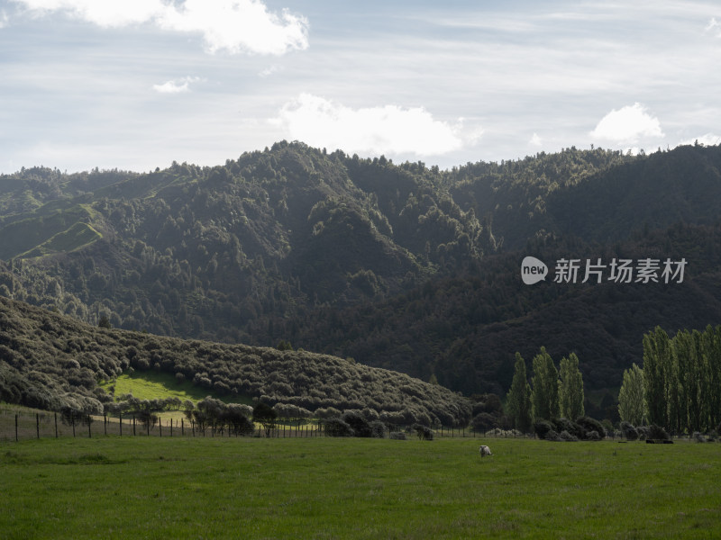 新西兰深山里的农场