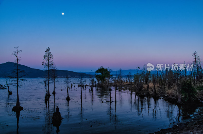 云南大理洱海黄昏湖岸树林剪影自然风光