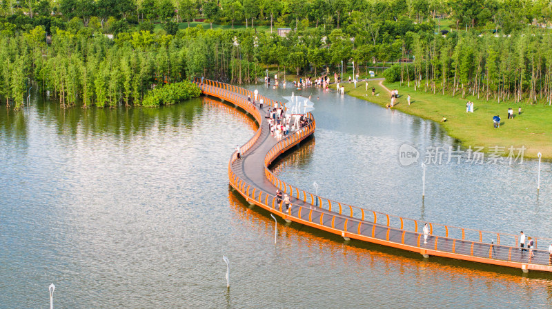 武汉江滩夏季湿地公园水上栈道