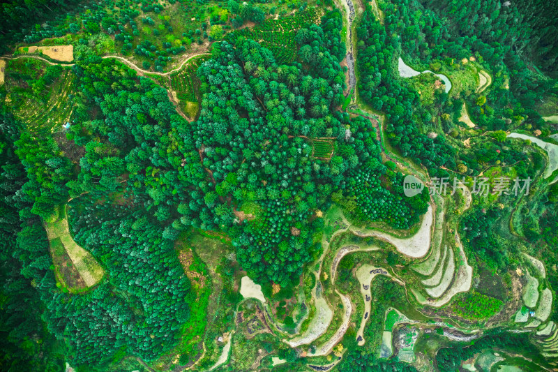 贵州山区的梯田