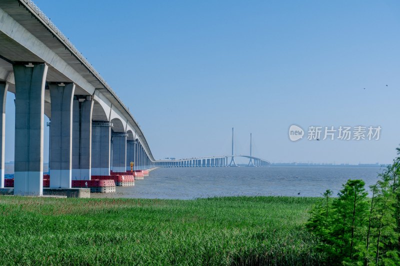 上海长江大桥崇明岛