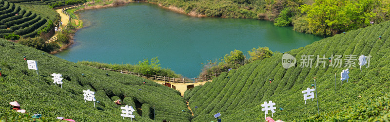 中国杭州龙坞光明寺水库茶园风光全景图