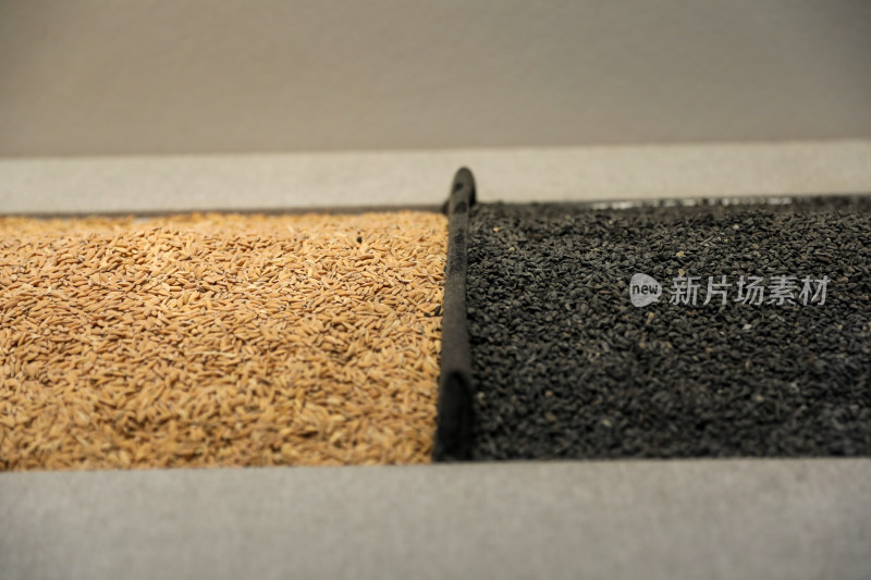 杭州良渚博物院良渚文化展览碳化稻谷