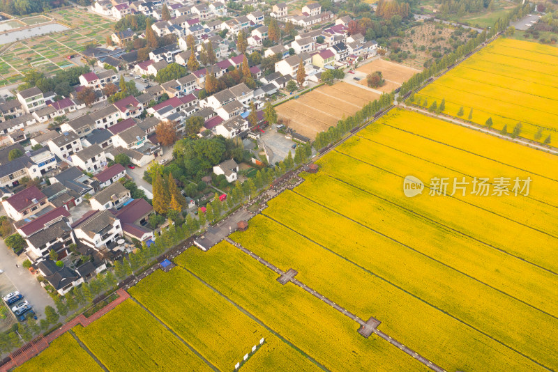 苏州吴中区林渡暖村航拍