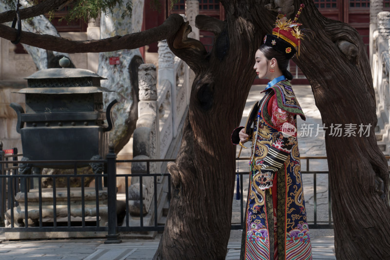 穿清宫服的青年女人站在古树下