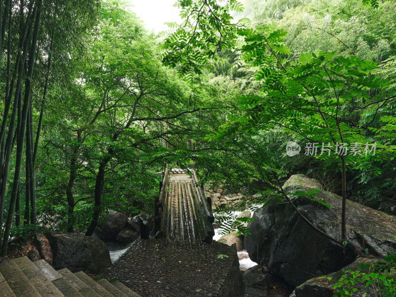 雨中山间竹林宁静步道