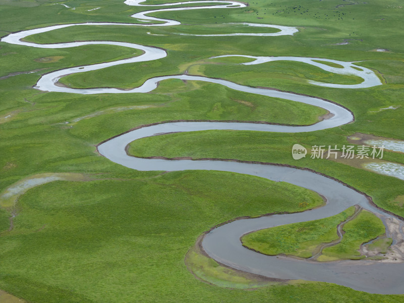 黄河草原湿地