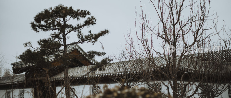 天津市水西公园 冬天雪景