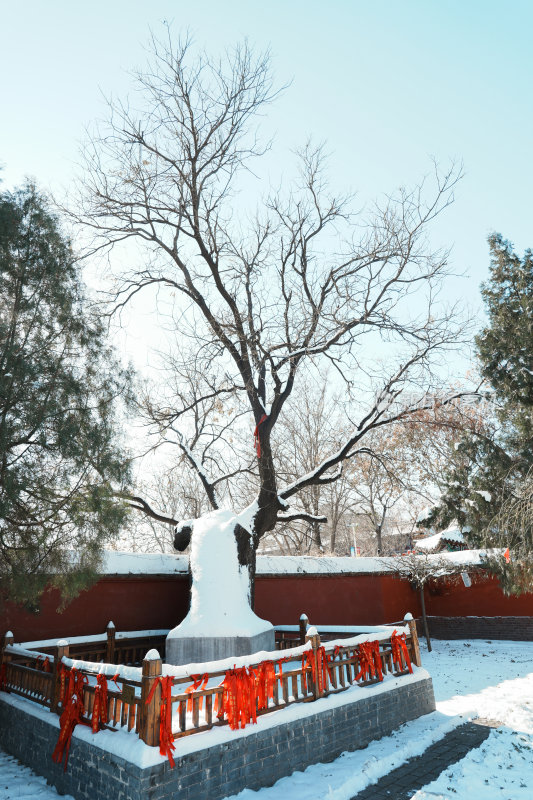 正定天宁寺