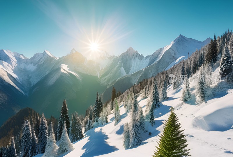 雪山草原森林风景