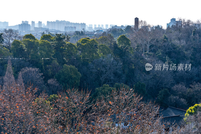 江苏镇江北固山西津渡城市景点景观