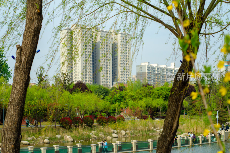 春天的渭南南湖公园风景