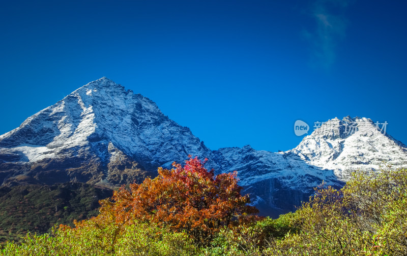 稻城亚丁宏伟雪山风景