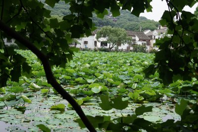 杭州风光 西湖风光 舟山风光