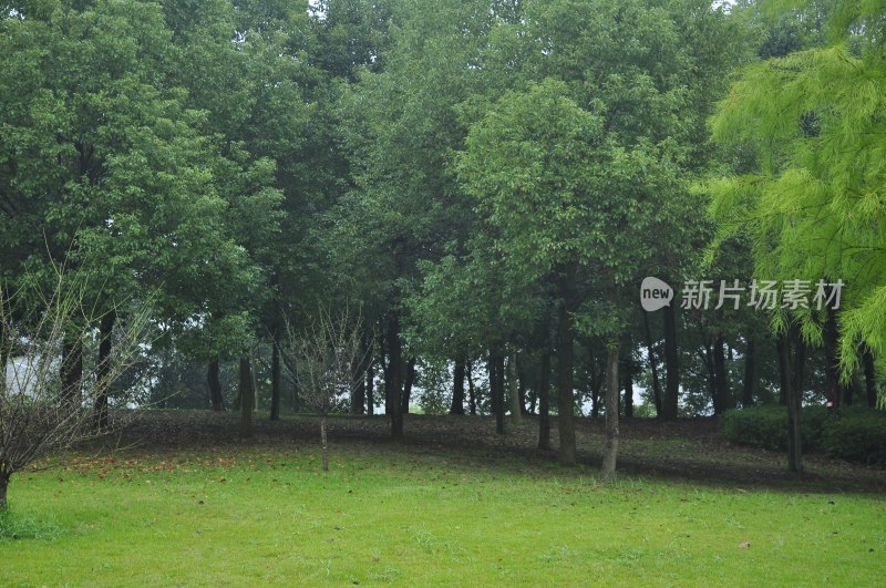 长沙风光  长沙街景 长沙城景  自然风景