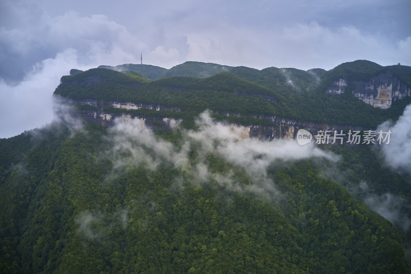 云海中的金佛山