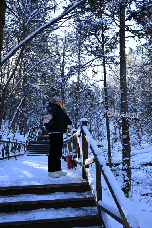 雪林栈道上女子舒展身体享受冬日美景