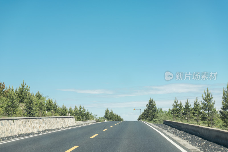 草原上的公路夏日风景