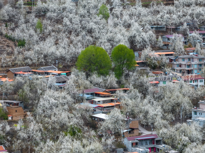 四川阿坝州金川梨花藏寨雪山高空航拍