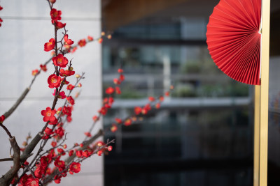 春节的红色新年装饰梅花入景
