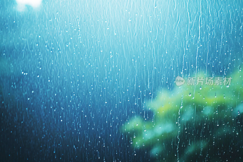 自然风景植物背景雨水