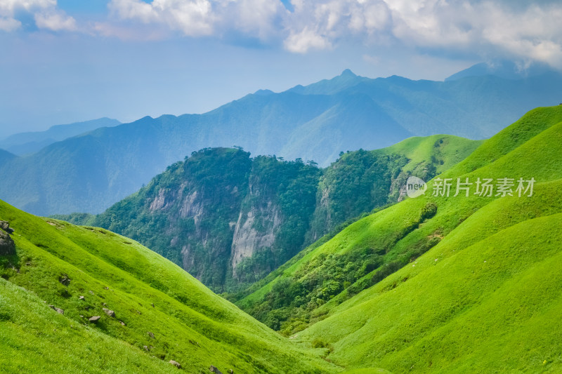 夏天江西武功山的高山草甸