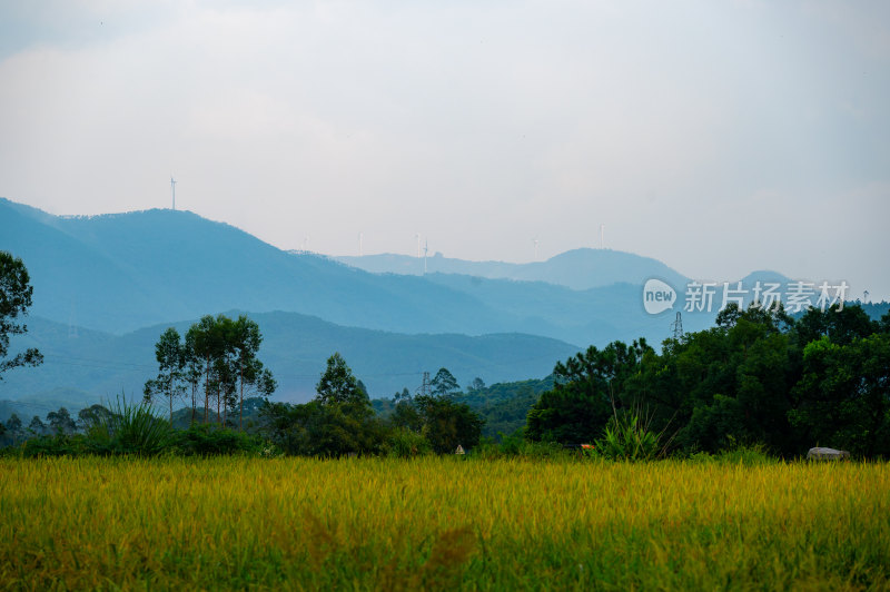 高山田野景观