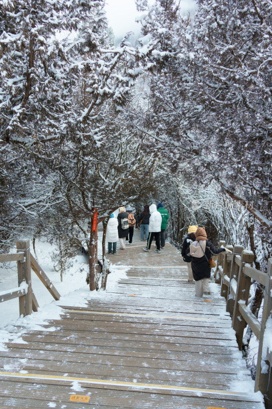 雪后林间木栈道