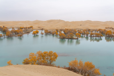 秋天的新疆尉犁县葫芦岛风景