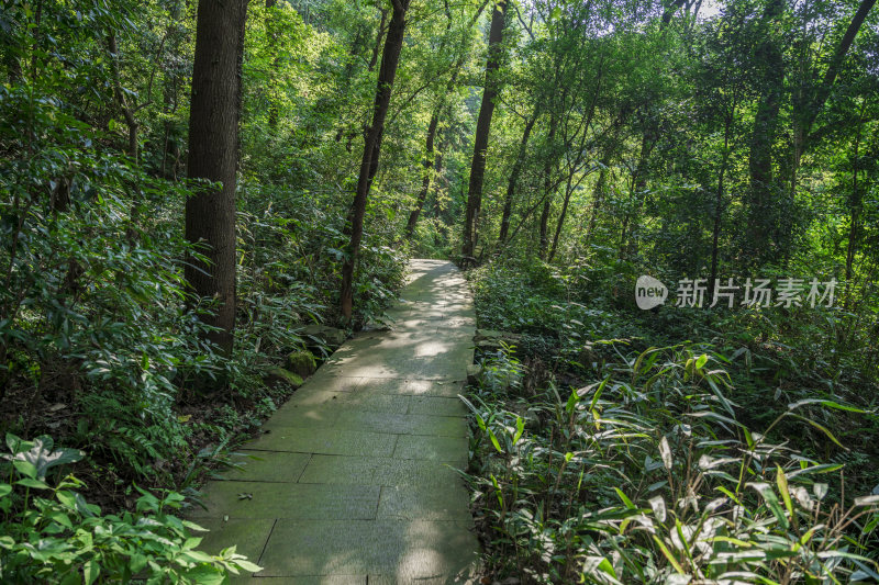 杭州凤凰山万松书院风景