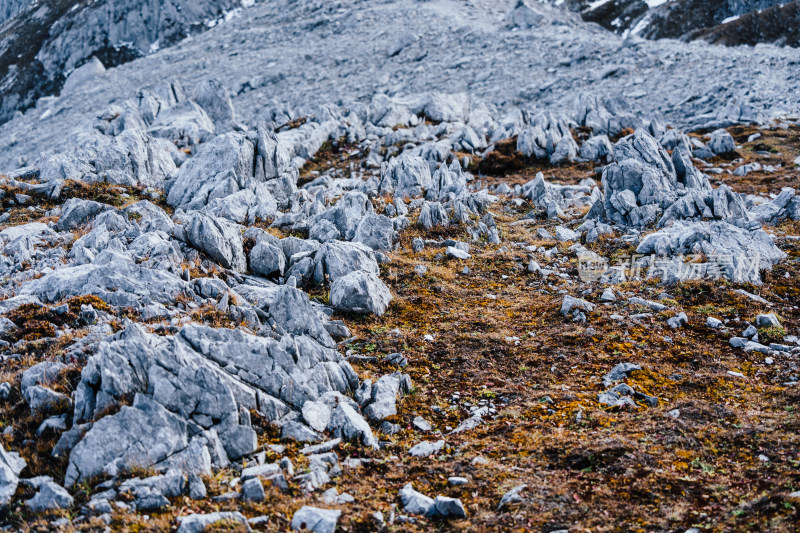 丽江玉龙雪山大峡谷