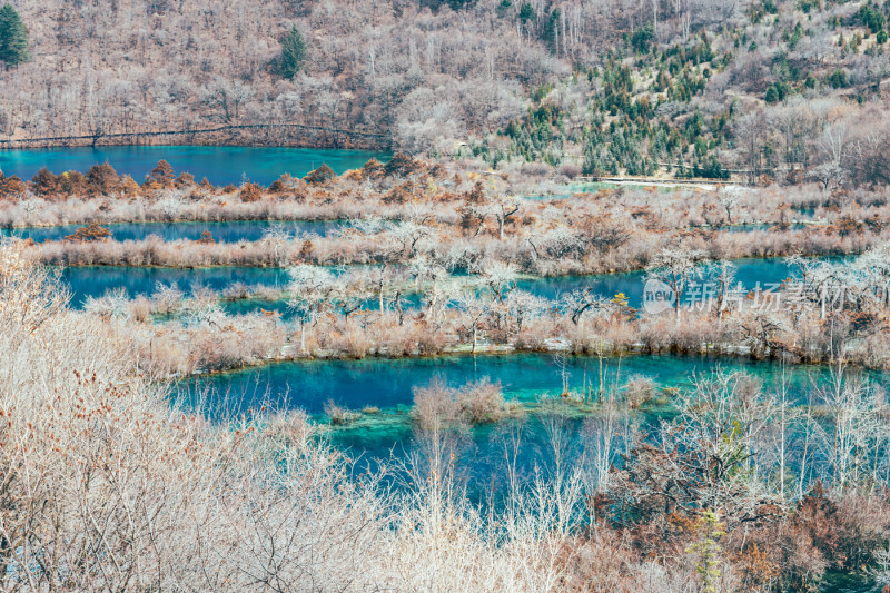 川西九寨沟冬季雪山碧蓝海子唯美