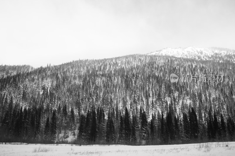 苍茫荒原山林的雪景