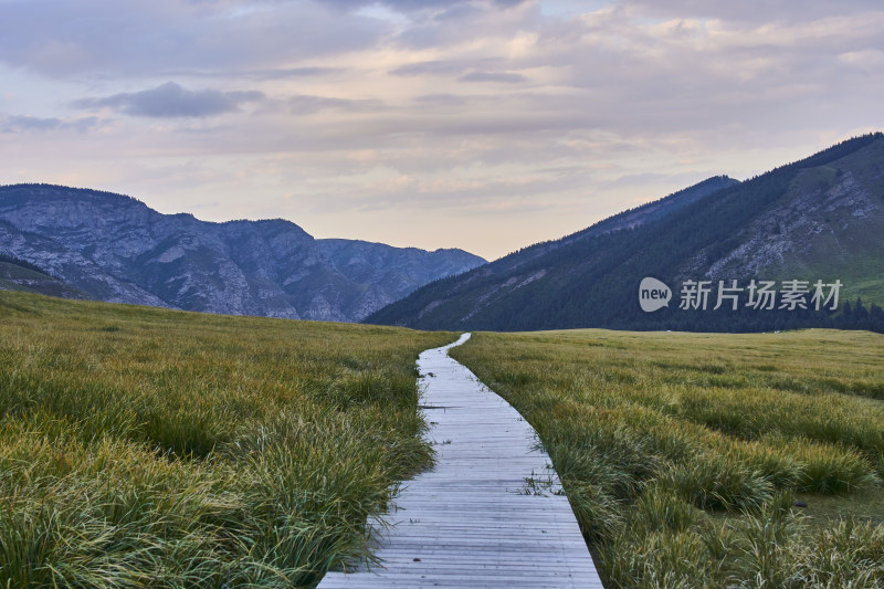 高山草甸的自然风光