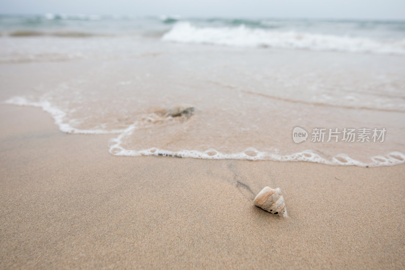 海滩沙滩海岸线