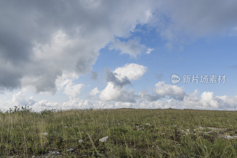 草地蓝天白云自然风景图