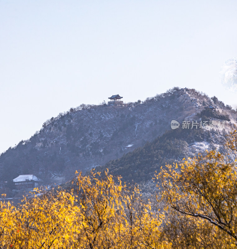 济南泉城公园自然景观雪景