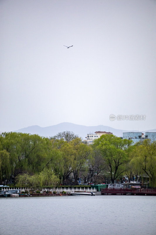 北京什刹海后海公园景点景观