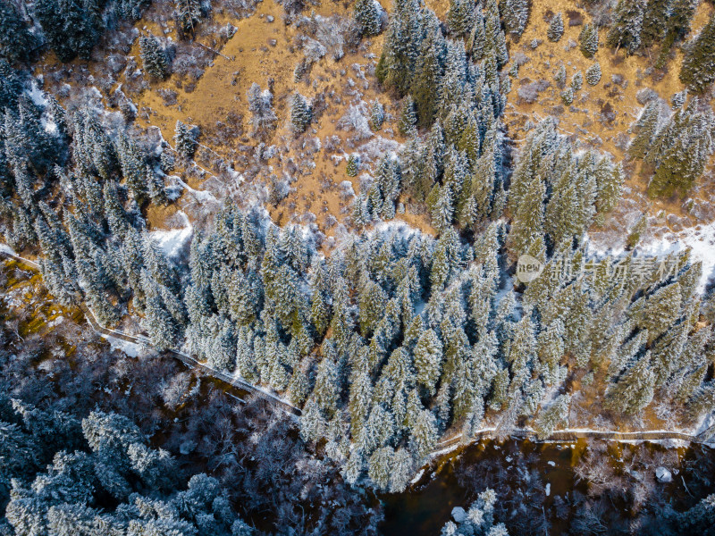 冬天的森林雪景