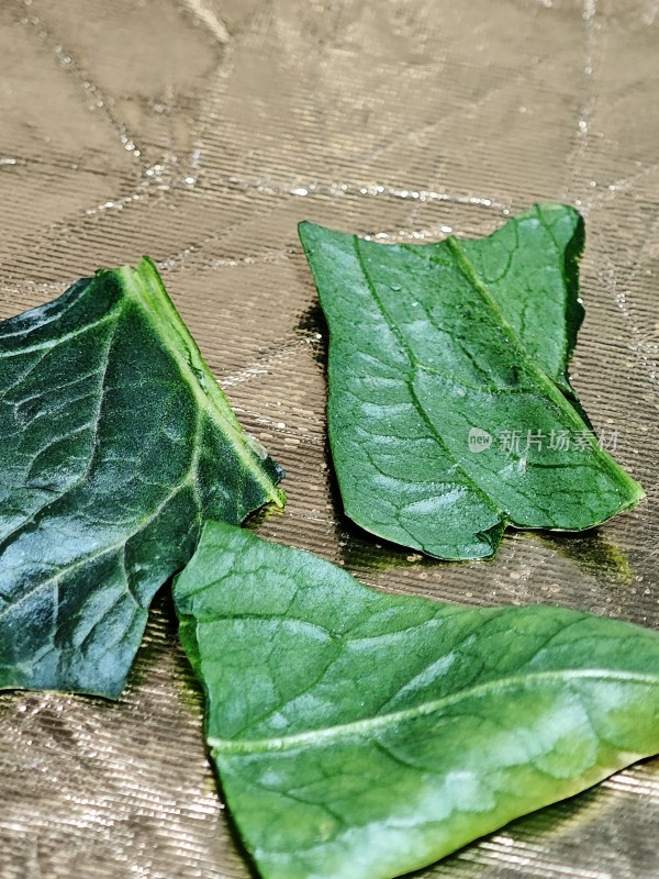 金属质感背景上的几片绿叶特写