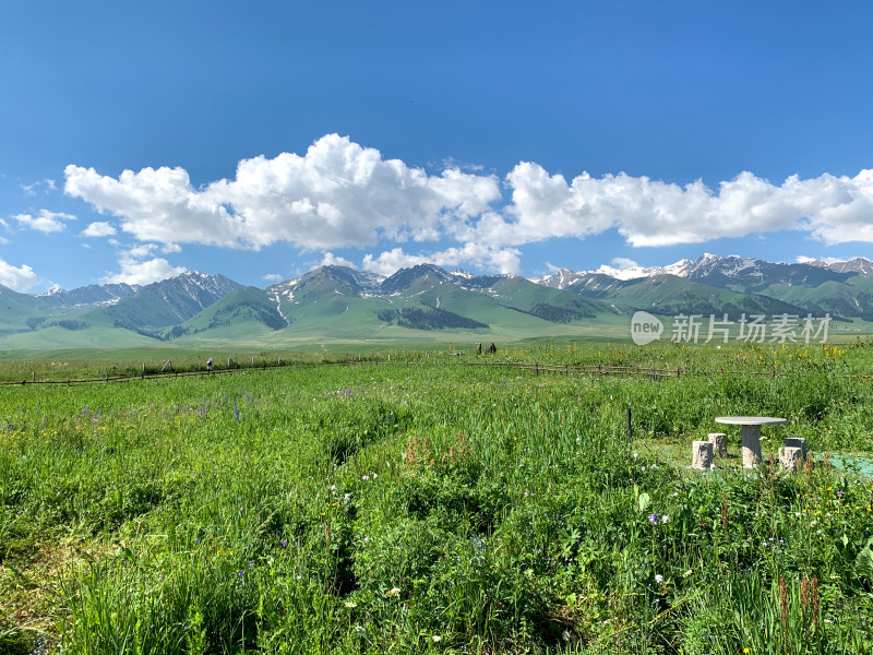 中国新疆伊犁那拉提草原夏季旅游风光